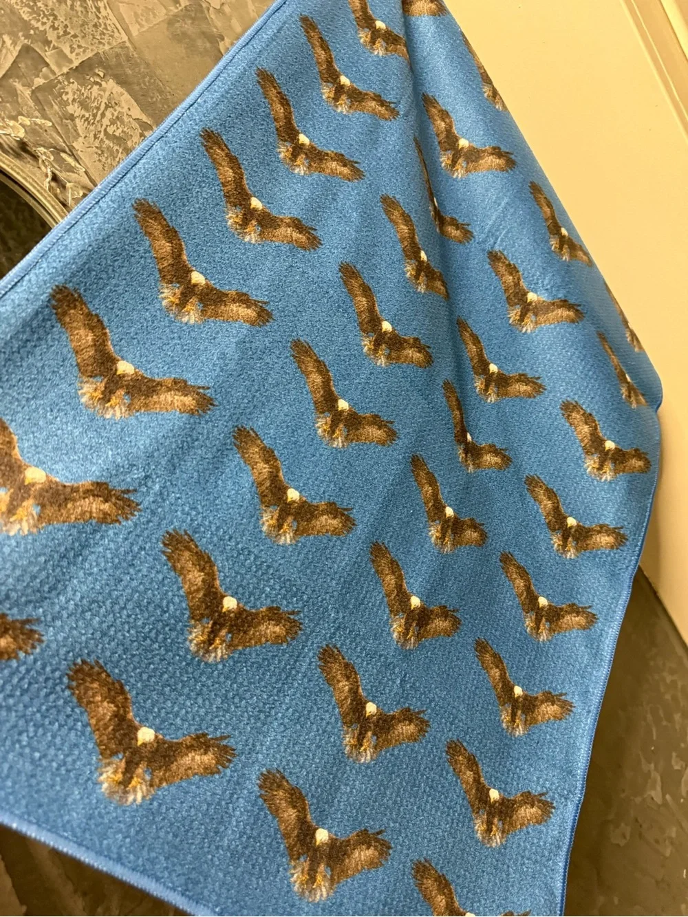 Double view Nature Magazine Eagle Print Towel